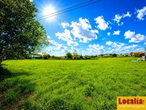 Foto8