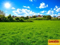 Foto6