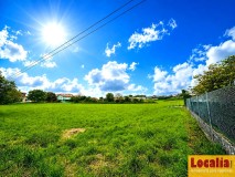 Foto4