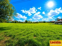 Foto7