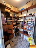 Foto6
