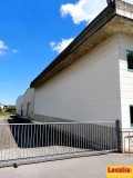 Foto9