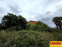 Foto8