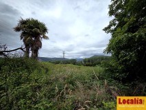 Foto9