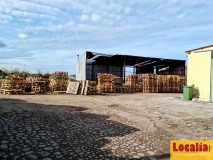 Foto3