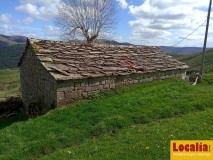 Foto2
