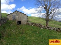 Foto3