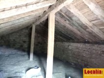 Foto8