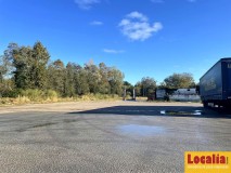 Foto20