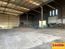 Foto15