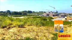 Foto5