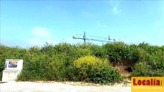 Foto9