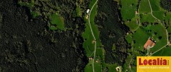 Foto8