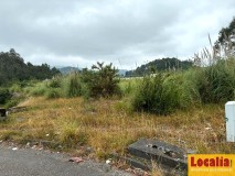 Foto4