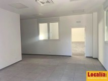 Foto1
