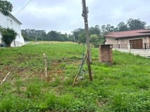 Foto8