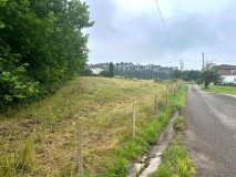 Foto7