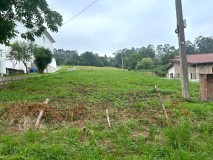 Foto6