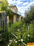 Foto3