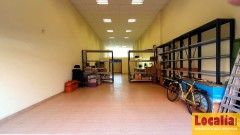 Foto11