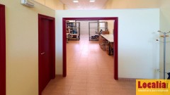 Foto8