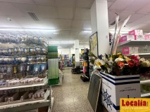 Foto4