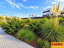 Foto4