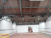 Foto4