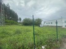 Foto4