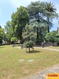Foto19