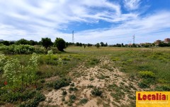 Foto5