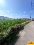 Foto1