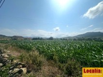 Foto3