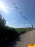 Foto4