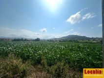Foto2