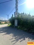 Foto6
