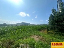 Foto5