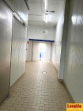 Foto12