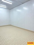Foto13
