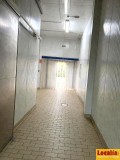 Foto2