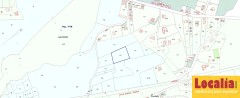 Foto2