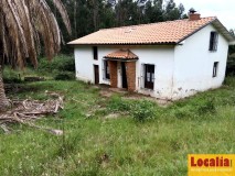 Foto3