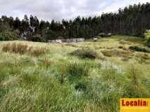 Foto5