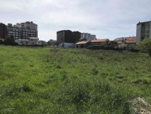 Foto6