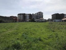 Foto5