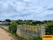 Foto8
