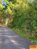 Foto9