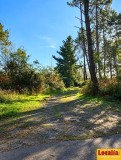 Foto11