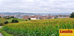 Foto3