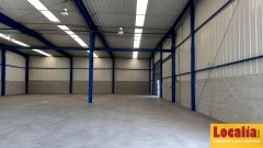 Foto5